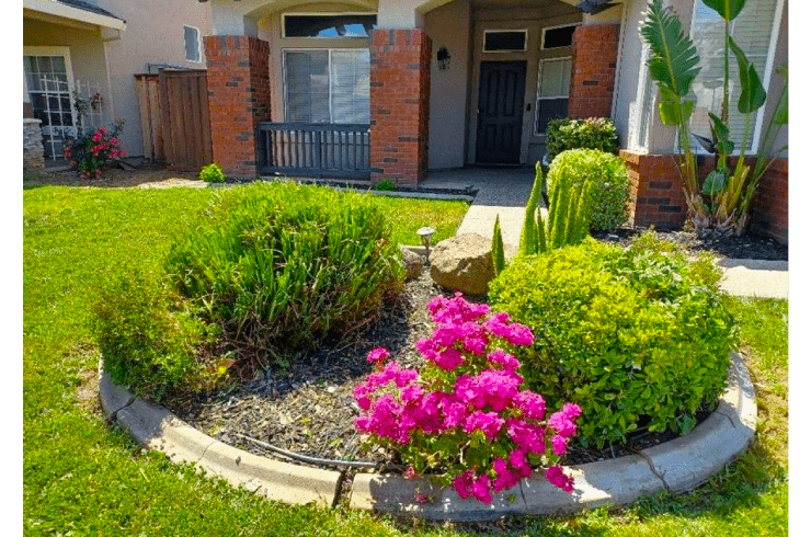 LawnCare Valladares